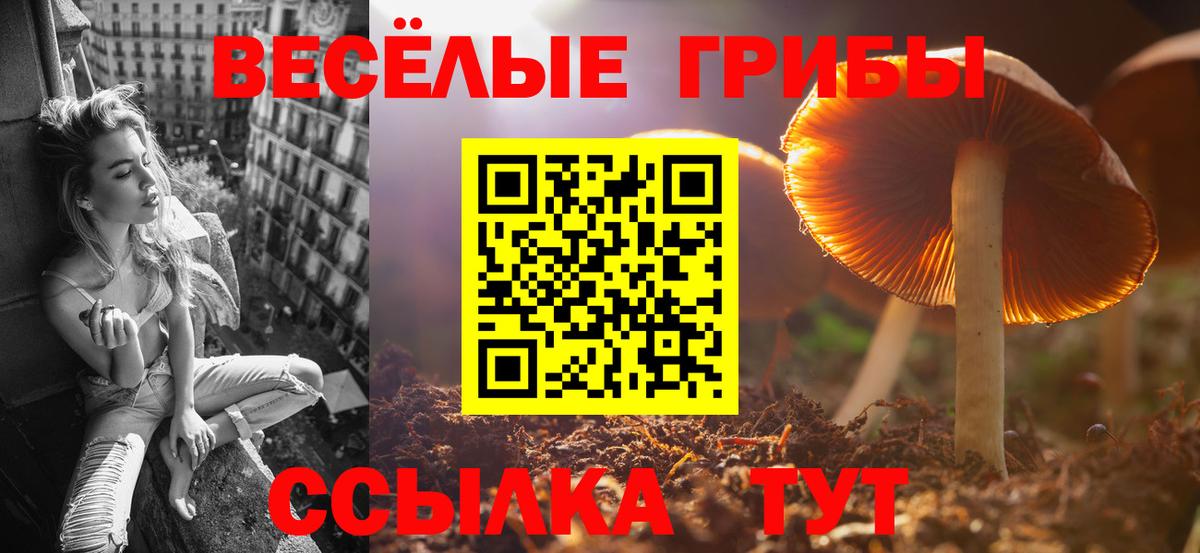 Псилоцибиновые грибы Cubensis Трёхгорный
