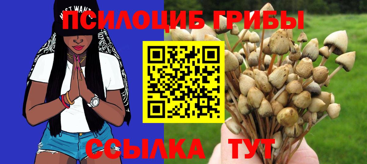закладки  Галлюциногенные грибы MAGIC MUSHROOMS  Вход с VPN  Трёхгорный 